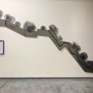 The Iron River Border Map